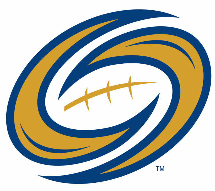 Tampa Bay Storm 2012-Pres Secondary Logo iron on transfers for clothing